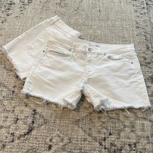 Loft jean short bundle